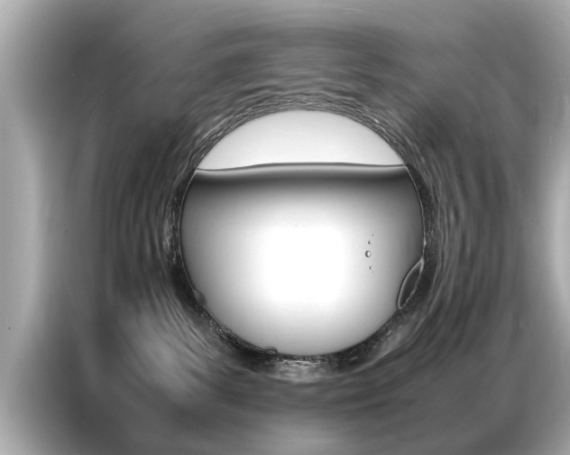 X0000087060139200704180945