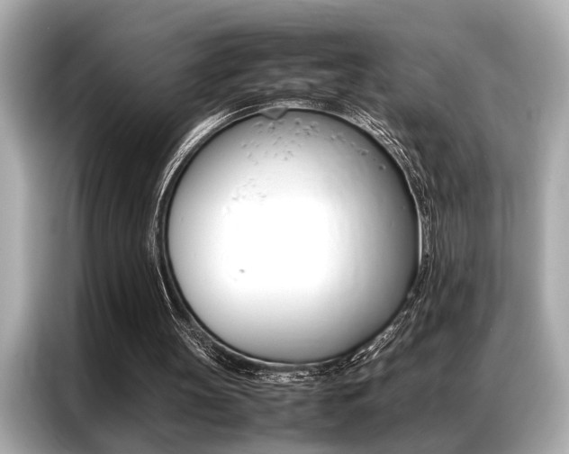 X0000087060147200704180944