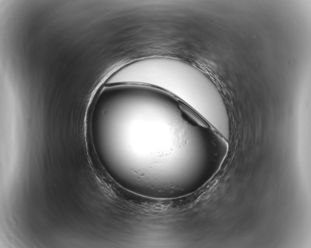 X0000087060148200704180944