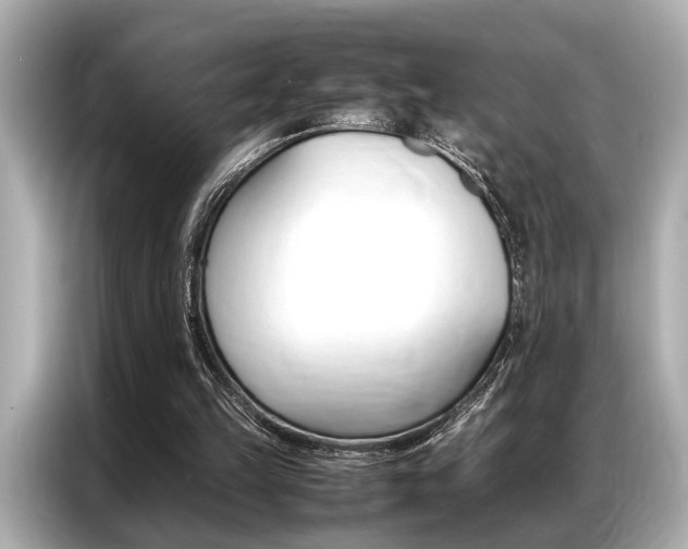 X0000087060149200704180944