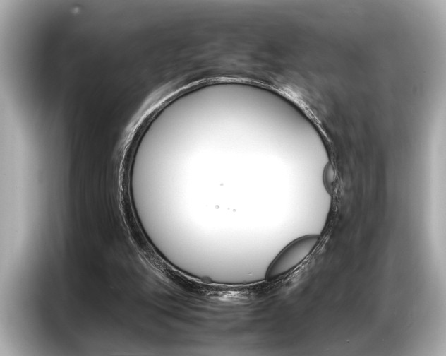 X0000087060151200704180944