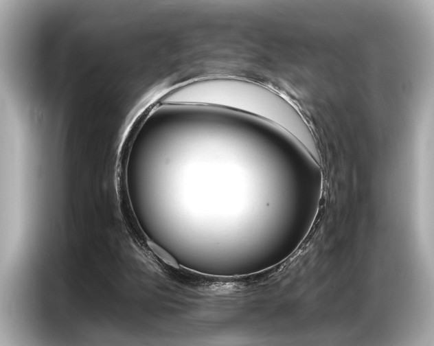 X0000087060152200704180944