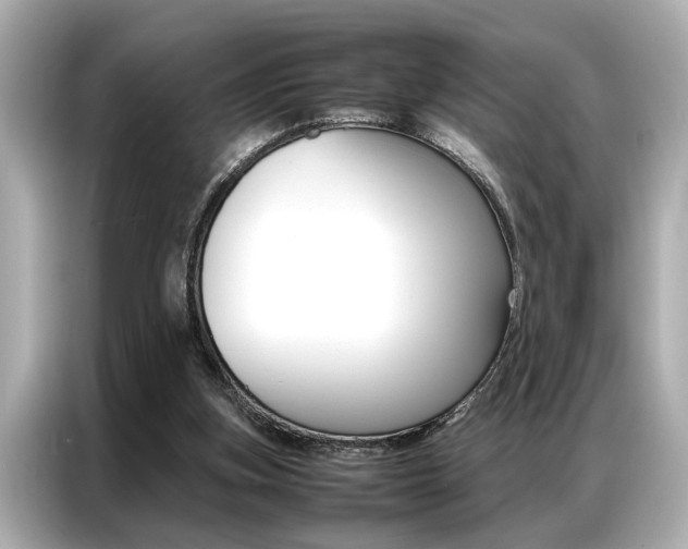 X0000087060155200704180944