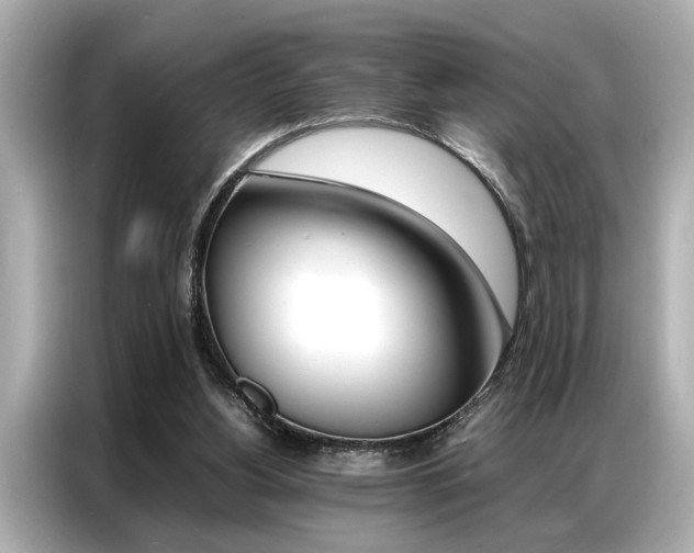 X0000087060156200704180944