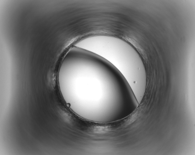 X0000087060160200704180945