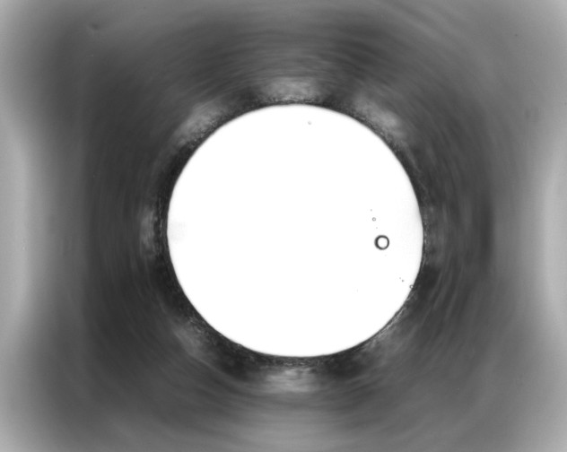 X0000087060162200704180945