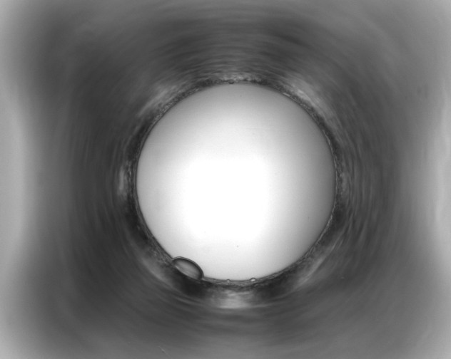 X0000087060165200704180945
