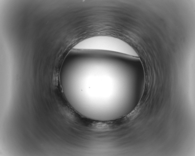 X0000087060180200704180945