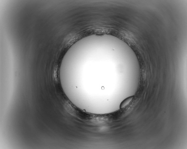 X0000087060185200704180945