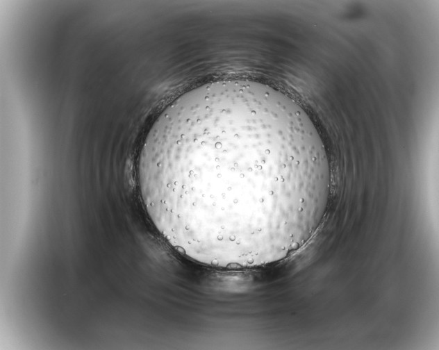 X0000087060187200704180945