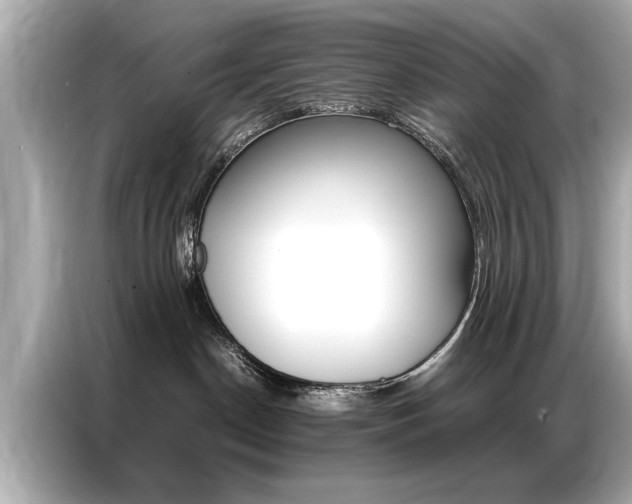 X0000087060190200704180945