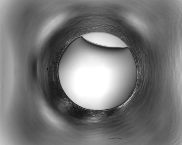 X0000087060191200704180945