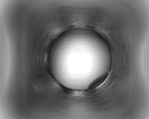 X0000087060192200704180945
