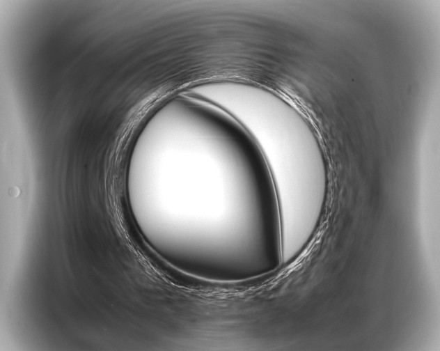 X0000087060193200704180944