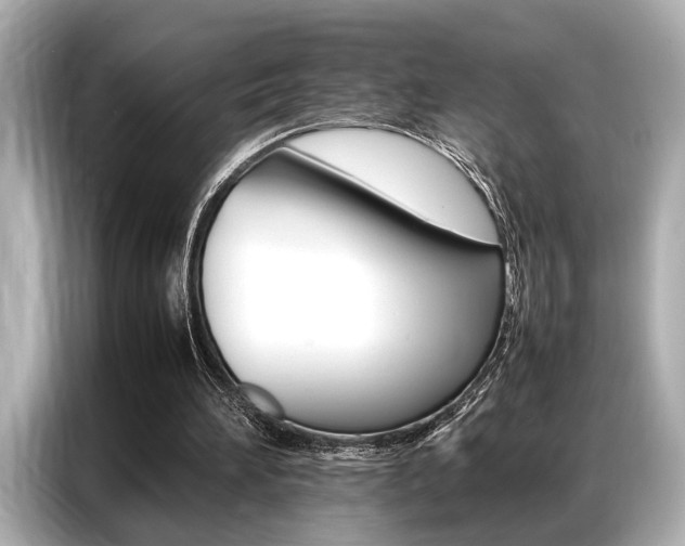 X0000087060196200704180944