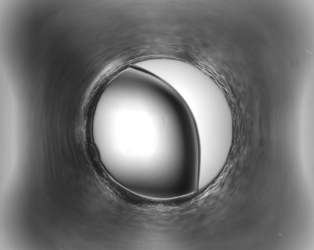X0000087060197200704180944