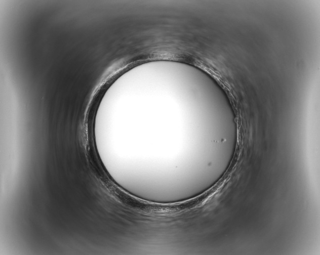 X0000087060198200704180944