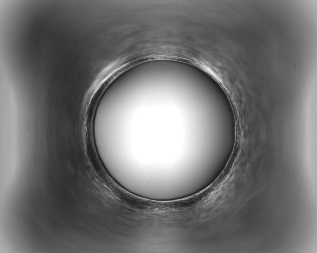 X0000087060199200704180944