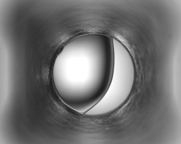 X0000087060201200704180944