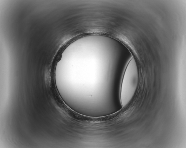 X0000087060204200704180944