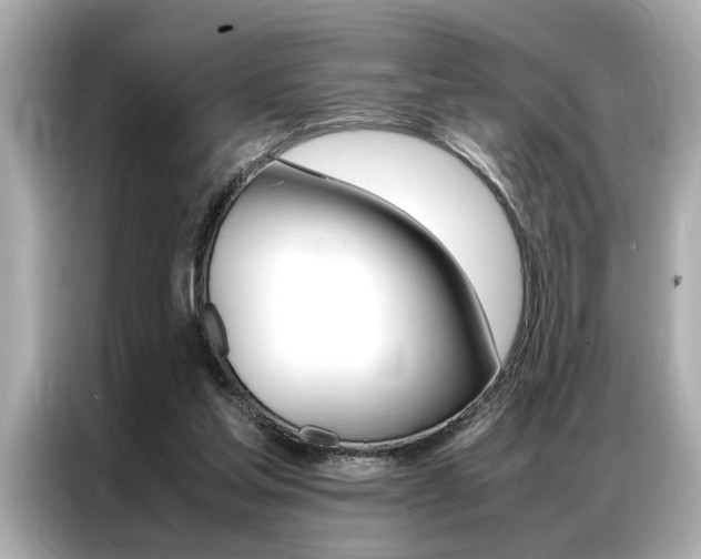 X0000087060205200704180944