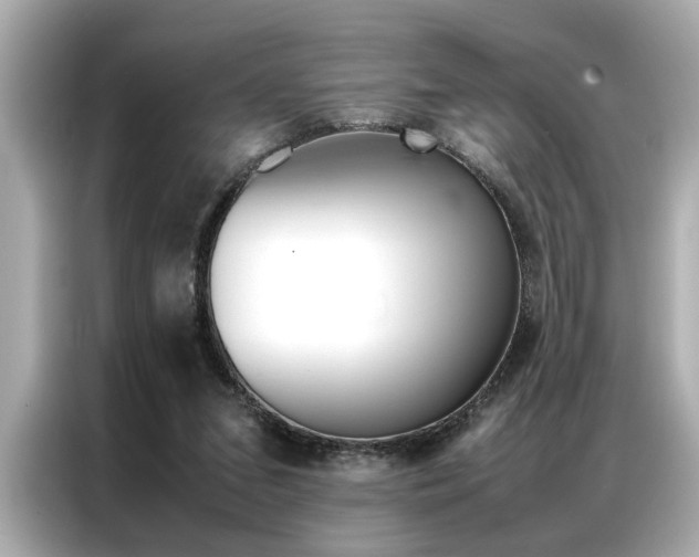 X0000087060207200704180944