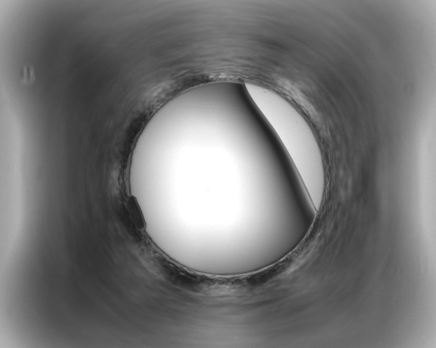 X0000087060209200704180944