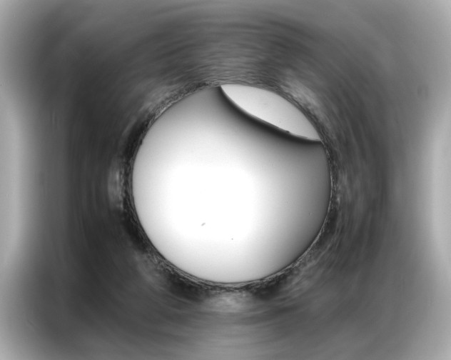 X0000087060210200704180944