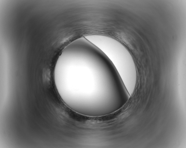 X0000087060211200704180944