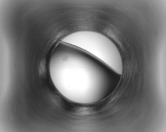 X0000087060212200704180944