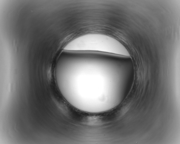 X0000087060216200704180944
