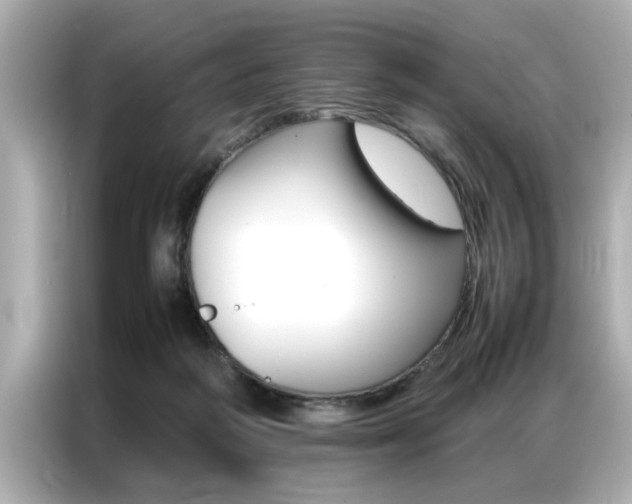 X0000087060218200704180944