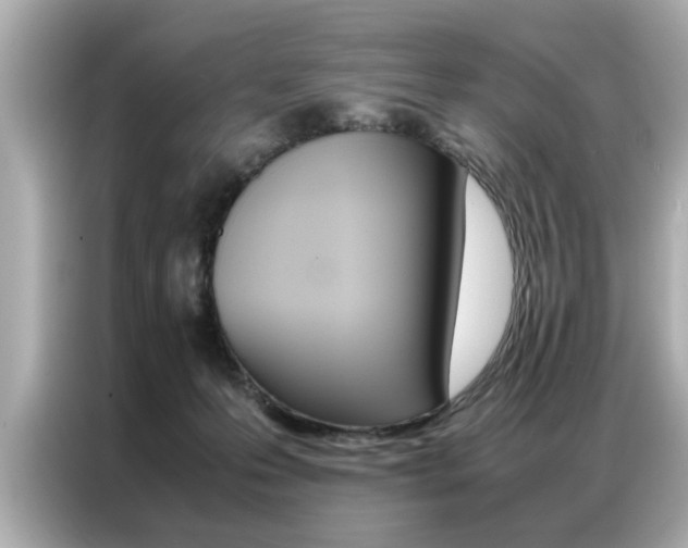 X0000087060223200704180944