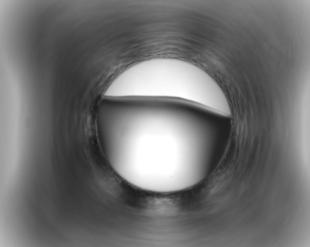 X0000087060224200704180944