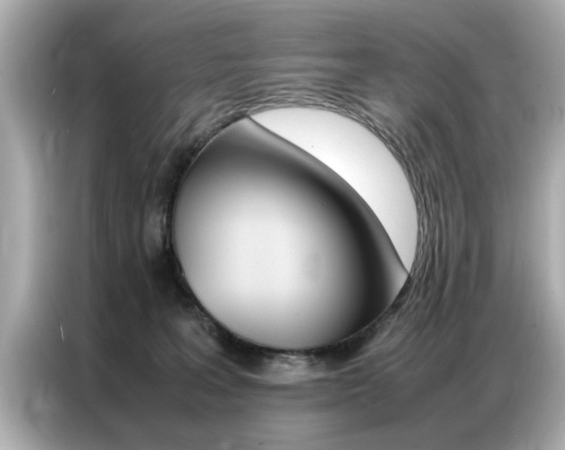 X0000087060227200704180944