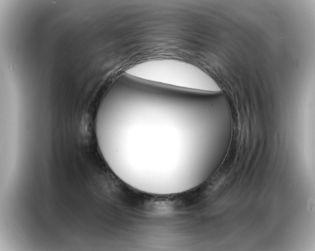 X0000087060228200704180944