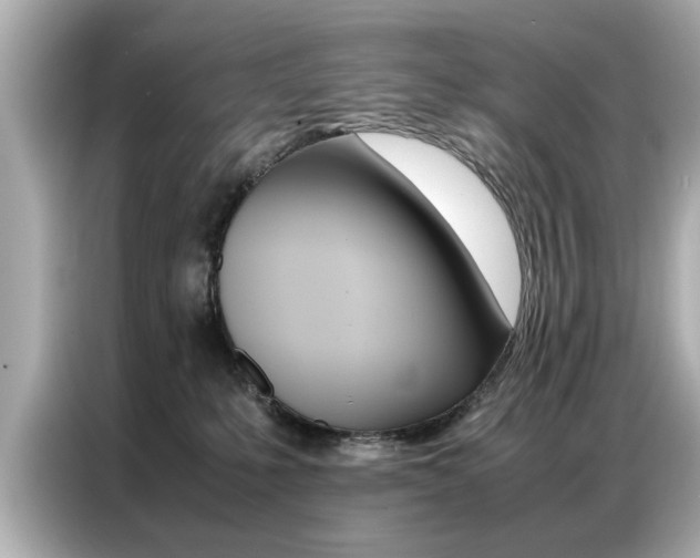 X0000087060231200704180944