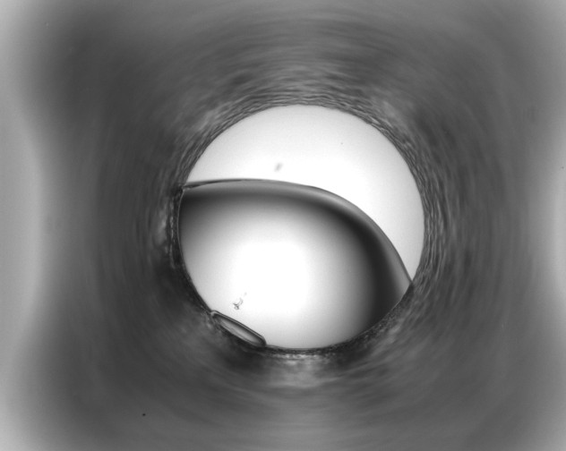X0000087060233200704180944