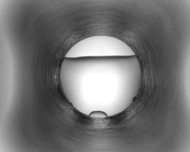 X0000087060234200704180944