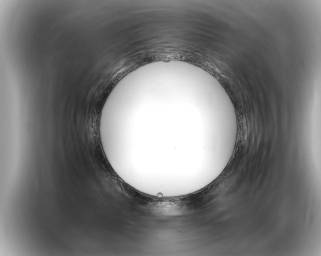 X0000087060236200704180944