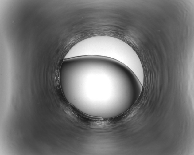 X0000087060237200704180944
