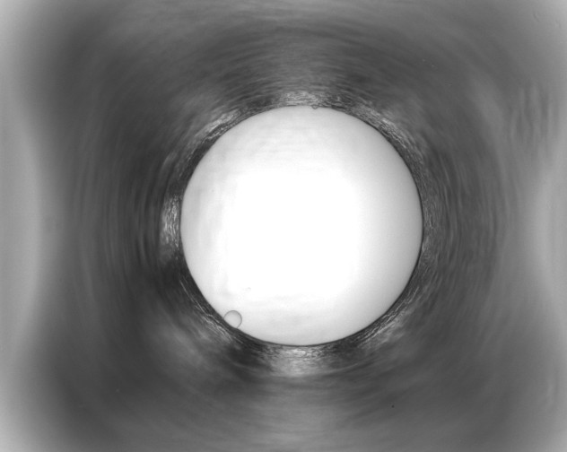 X0000087060240200704180944