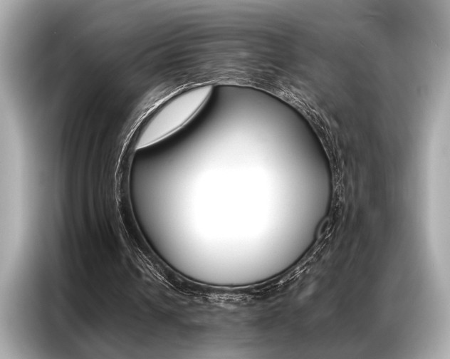 X0000087060242200704180943