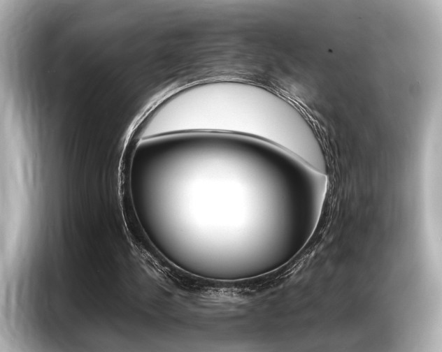 X0000087060244200704180943