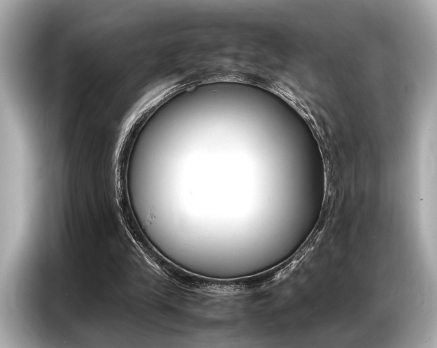 X0000087060245200704180943