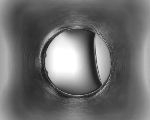 X0000087060246200704180943