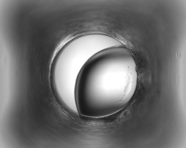 X0000087060248200704180943
