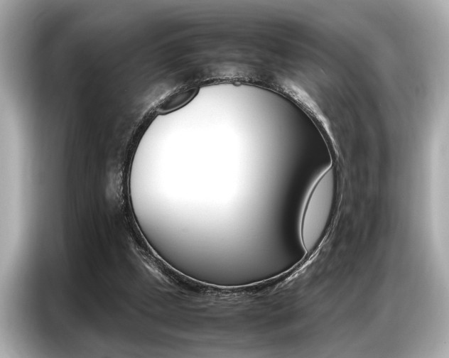 X0000087060249200704180943