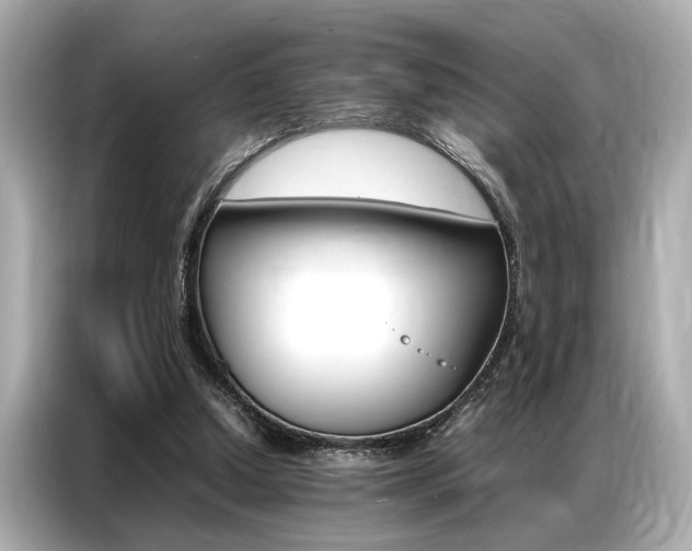 X0000087060250200704180943