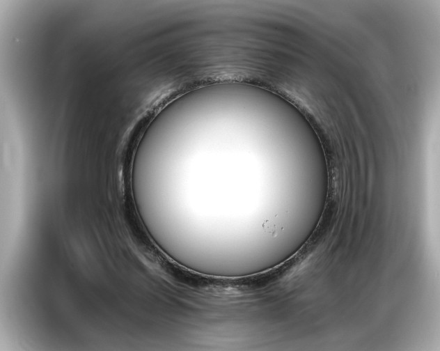 X0000087060254200704180943